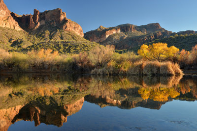 AZ - Salt River Fall Colors 4.jpg