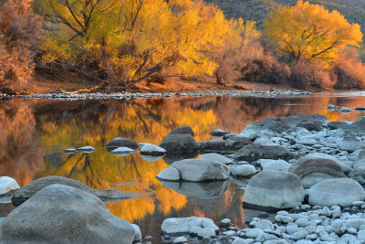 AZ - Salt River Fall Colors 7.jpg