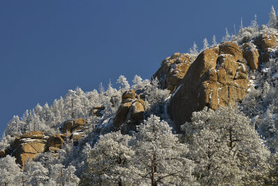 AZ - Catalina Highwaym - Snowscape 1.jpg