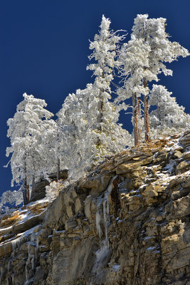 AZ - Catalina Highwaym - Snowscape 5.jpg