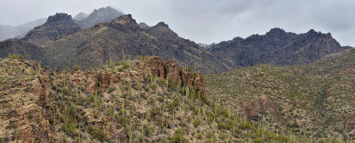 AZ - Sabino Canyon - Pano 1.jpg