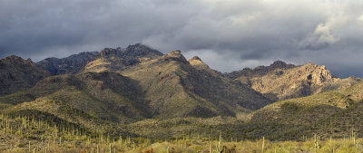 AZ - Sabino Canyon - Pano 2.jpg