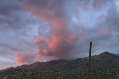 AZ - Sabino Canyon - Sunset.jpg