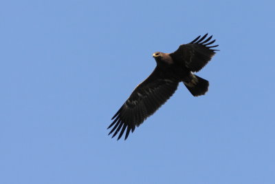 Batumi2011_100.JPG