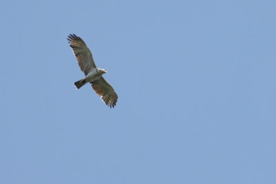 Batumi2011_104.JPG