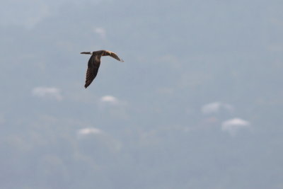 Batumi2011_108.JPG