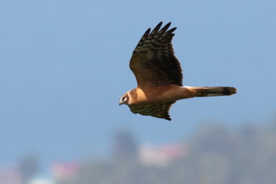 Batumi2011_110.JPG