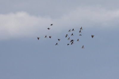 Batumi2011_21.JPG