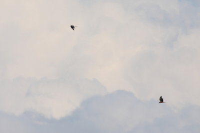 Batumi2011_27.JPG