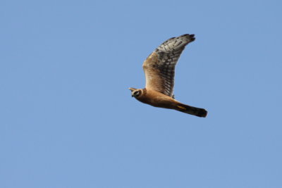 Batumi2011_30.JPG