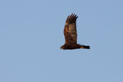 Batumi2011_32.JPG