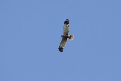 Batumi2011_34.JPG