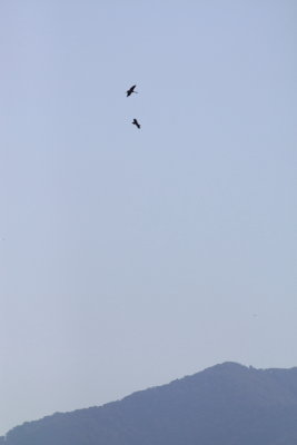 Batumi2011_59.JPG
