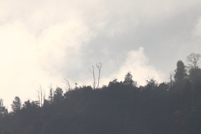 Batumi2011_65.JPG