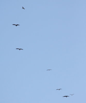 Batumi2011_87.JPG