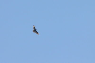 Batumi2011_89.JPG