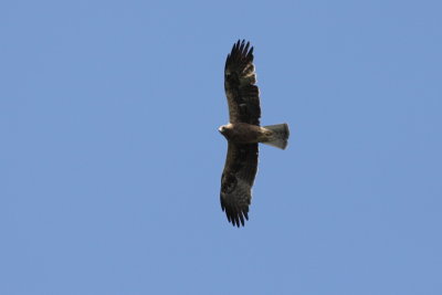 Batumi2011_92.JPG