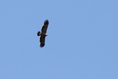 Batumi2011_94.JPG