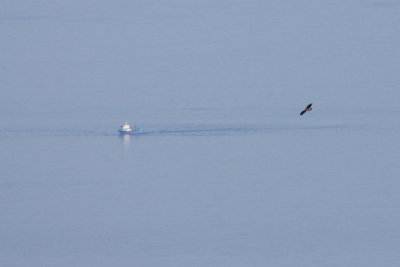 Batumi2011_98.JPG