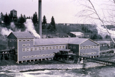 SAWMILL PLASTER ROCK 