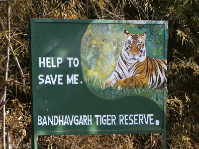 Bandhavgarh Tiger Reserve and National Park