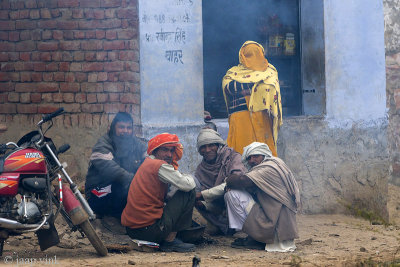 Seeking warmth on a cold day