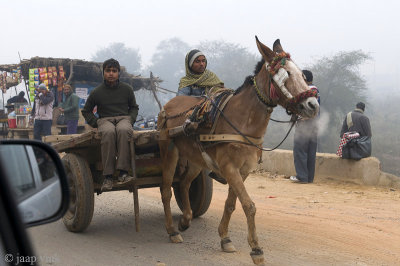 Local transport