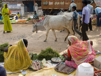 Business women at the Mocha Wednesday Market