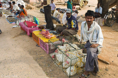 Chicken salesmen at the Mocha Wednesday Market