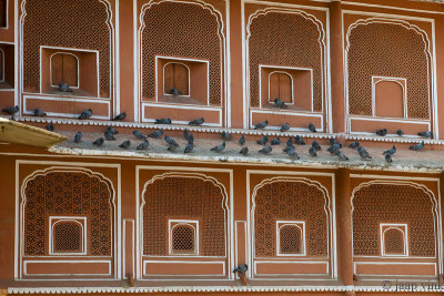 City Palace, Jaipur