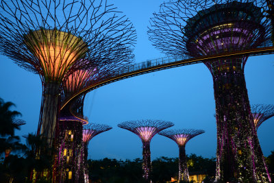 Images of Singapore ~ Singapur