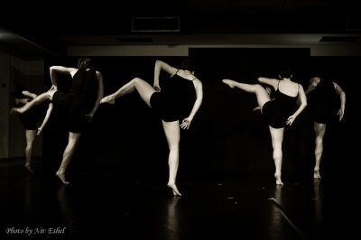 DSC_3117.jpg