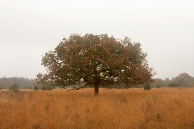 Seasons