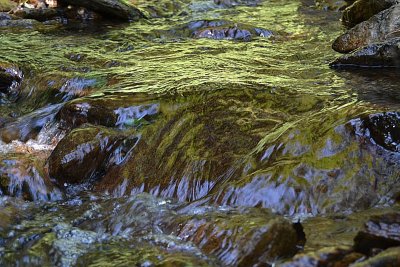 Stream potok  dsc_0875Nzpb