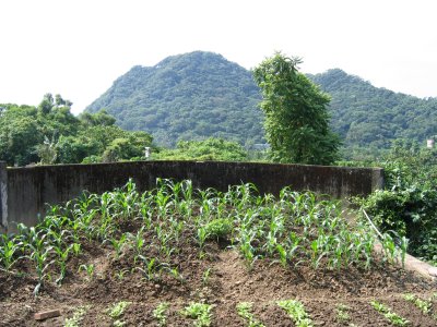 Grandpa's farm