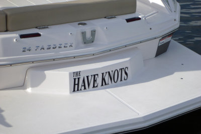The Have Knots.jpg