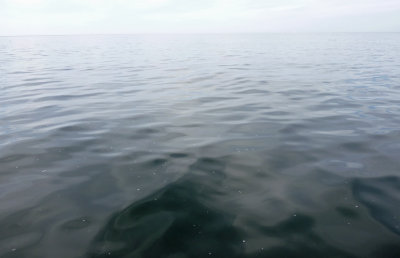 Calm Waters.jpg