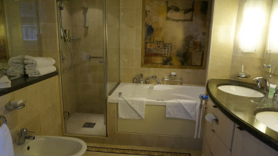 Suite 1620 Bathroom