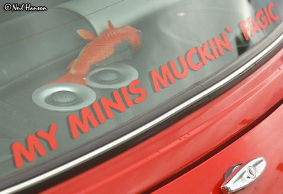 Muckin Fagic