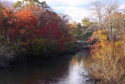 Connetquot River Park