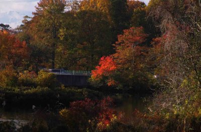 Connetquot River Park