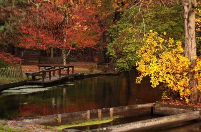 Connetquot River Park