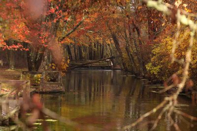 Connetquot River Park