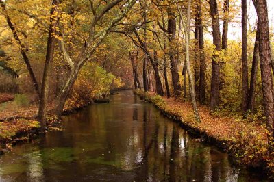 Connetquot River Park