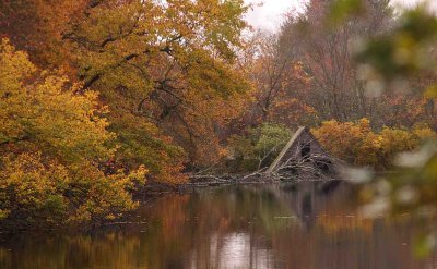Connetquot River Park