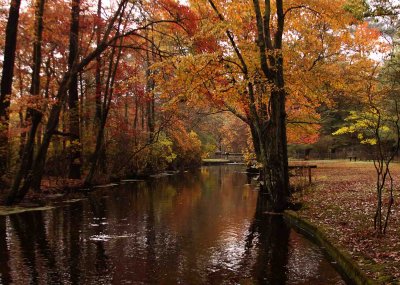 Connetquot River Park