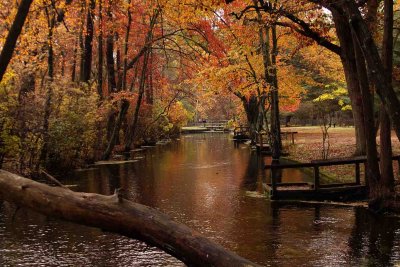 Connetquot River Park
