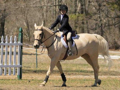Horse Manorville