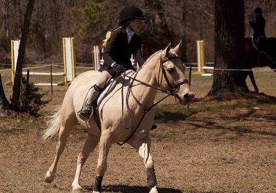 Horse Manorville