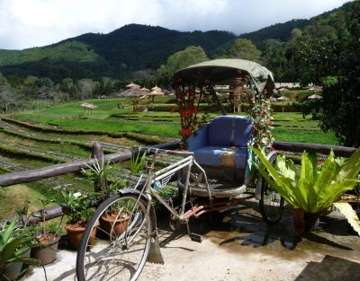 Rickshaw on village guest house terrace